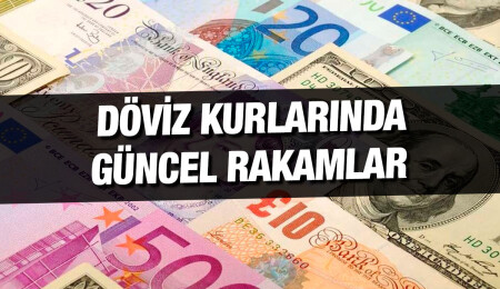 Sterlin 36,65, euro 31,45 dolar 29,25 liradan işlem görüyor
