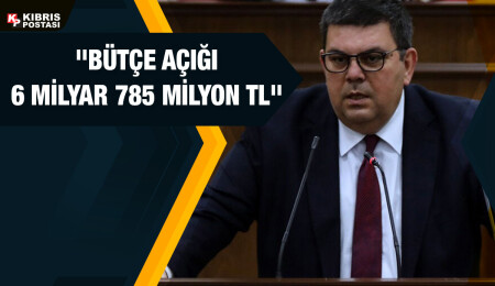 Özdemir Berova: Bütçe 88 Milyar 264 Milyon TL olarak onaylandı