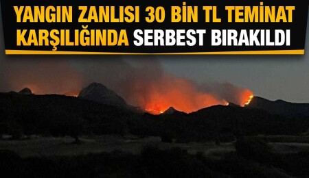 Mersinlik yangının tutuklanan zanlı teminatla serbest bırakıldı