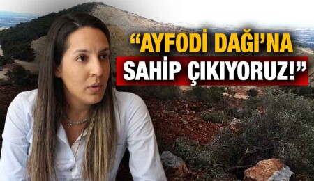 YBH Başkanı Tel: “Çevre Bakanlığı, Ayfodi Dağı’nın katledilmesine çanak tutuyor”