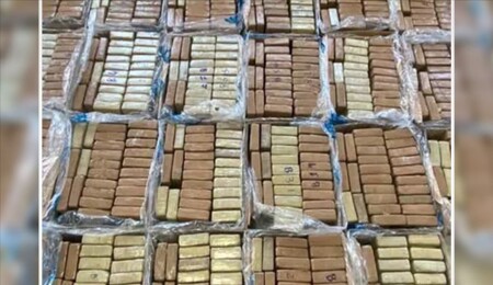 Bulgaria Seizes Record 206 Kg of Cocaine Bound for Turkey