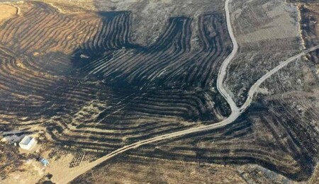 Diyarbakır ve Mardin arasında anız yangını: 6 can kaybı!
