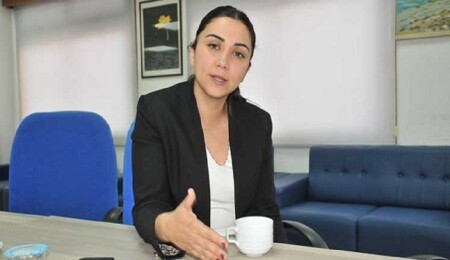 Ayşegül Baybars: Bu hükümet gökten zembille düşmedi