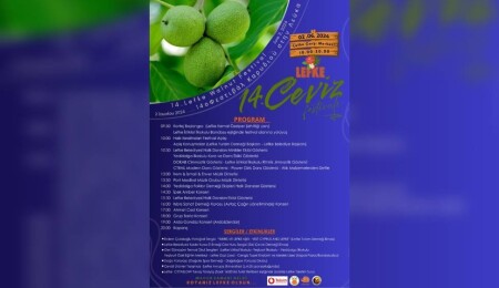 14. Lefke Ceviz Festivali yarın yapılacak