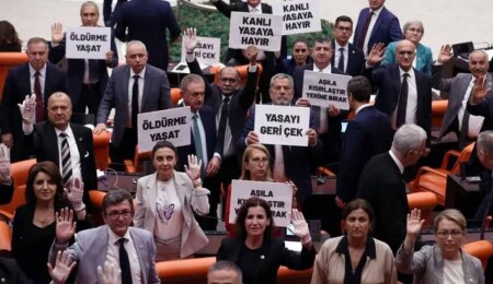 Tartışılan yasa hayat buldu: Türkiye’de sokak hayvanları düzenlemesi Meclis'ten geçerek yasalaştı