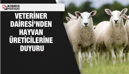 Veteriner Dairesi, küçükbaş hayvan üreticilerinin hayvan bilgilerini güncellemesi gerektiğini açıkladı