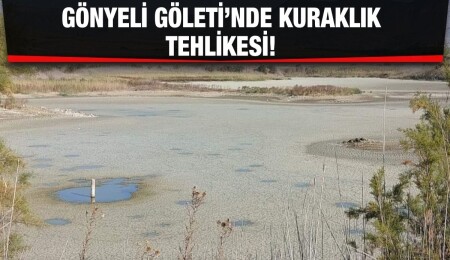 Gönyeli Göleti neredeyse tamamen kurudu…
