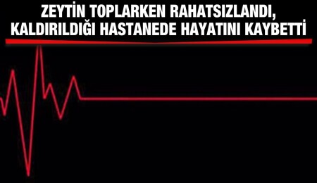 Akova sakinlerinden Mehmet Gürsev hayatını kaybetti