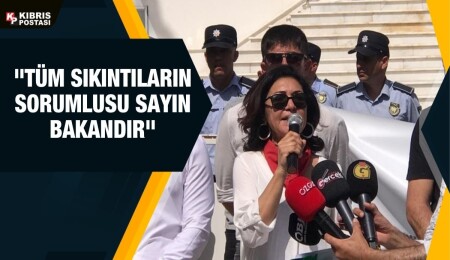 Selma Eylem: Bakanlıkla varılan mutabakat dönemin bitirilmesi yönündedir