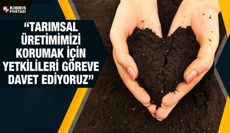 Ziraat Mühendisleri Odası: Toprağımızı ve yerli tarımsal üretimimizi koruyalım