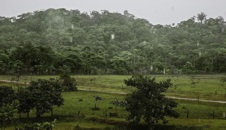 Peru'da kaçırılan 13 altın madencisinin cesetleri bulundu