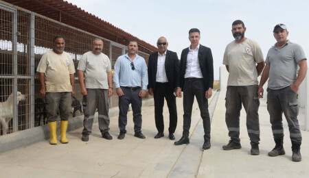 Hüseyin Amcaoğlu: Minik canlarımızın refahı için çalışıyoruz