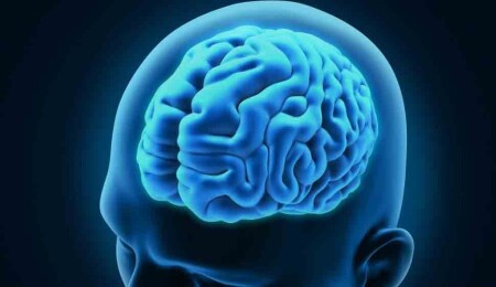 İnsanların IQ'su düşmeye başladı