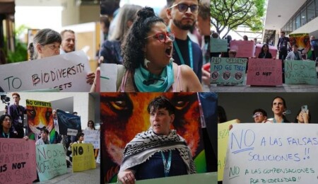 Çevre aktivistleri Kolombiya'da düzenlenen COP16 sırasında protesto düzenledi