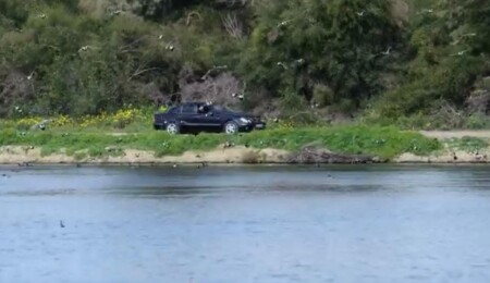 Haspolat’ta doğaya saygısızlık: Boru sesleri kuşları huzursuz etti