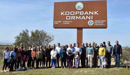 Fikri Ataoğlu ve Dursun Oğuz, Koop-Bank çalışanlarıyla birlikte fidan dikti