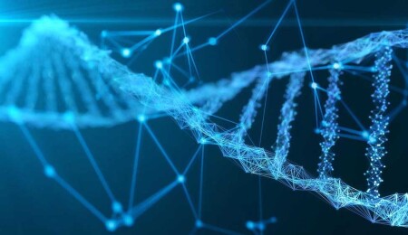 Work Begins to Create Artificial Human DNA From Scratch