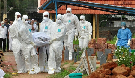 Nipah alarmı: Bilinen tedavisi bulunmayan virüsle ilgili korkutan tahmin