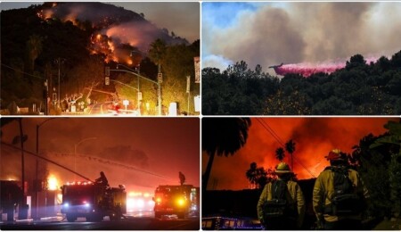 Los Angeles'taki orman yangınlarında ölenlerin sayısı 11'e çıktı