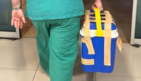 Araştırma: Gönüllü böbrek bağışçılarının ameliyat sonrası ölüm riski sanılandan çok daha düşük