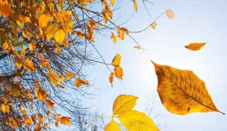 Hava bugün serin ve nemli hava kütlesi etkili olacak