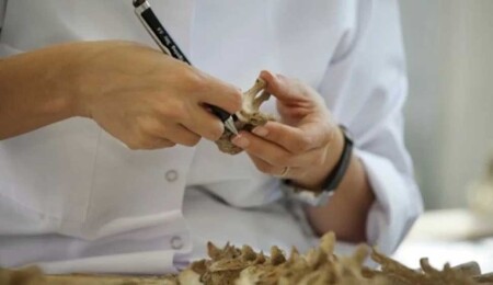 Kayıpların akıbetini belirlemek için yeni araştırma yöntemleri Güney Kıbrıs'ta uygulanacak