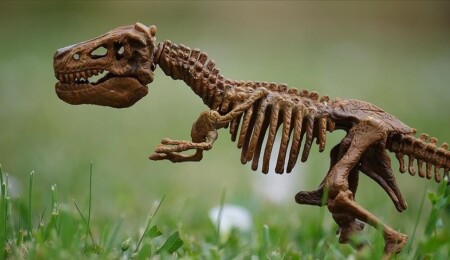 200 milyon yıllık dinozor izleri lisede keşfedildi: Bilim insanları şaşkın