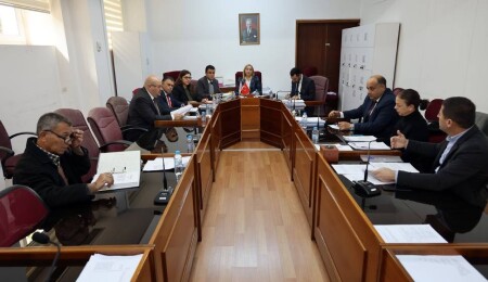 Meclis Hukuk, Siyasi İşler ve Dışilişkiler Komitesi toplandı