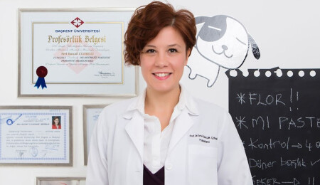 LAÜ Akademisyeni Çehreli çocuk ve ergenlerde ortodontik tedaviyi ele aldı