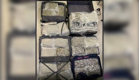 Larnaka Havalimanı'nda 41 kilo uyuşturucu ele geçirildi