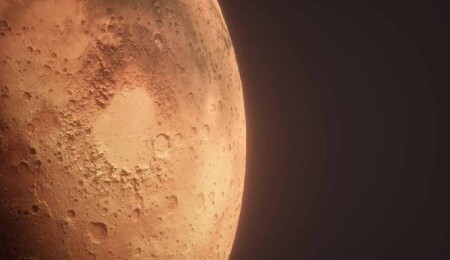 Mars'tan gelen ve dünyaya düşen en büyük gök taşı New York'ta 5,3 milyon dolara satıldı