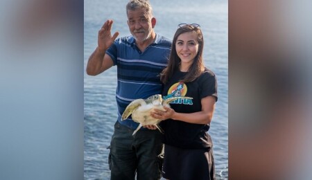 Meritta Deniz Kaplumbağaları’ndan Dünya Balıkçılık Günü mesajı: Denizlerimizi birlikte koruyoruz