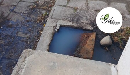 Lefke Çevre ve Ekoloji Derneği: Lağım suları halk sağlığını tehdit ediyor!