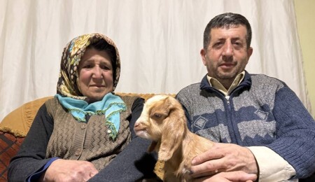 Oğlağa evde bebek gibi bakıyorlar