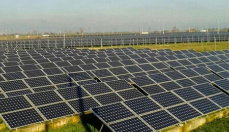 Güney’deki Avcılık ve Yaban Hayatı Koruma Federasyonu, güneş parkından endişeli