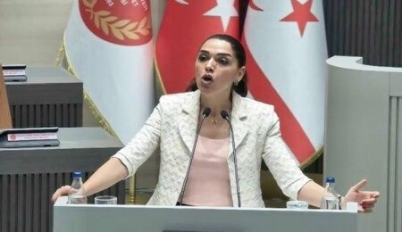 Fide Kürşat: Destekler hayatı ucuzlatmıyor, teşvikler verimlilik esaslı değil