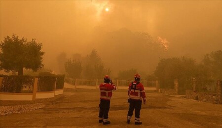 Portugal Wildfires Claim Third Victim: Officials