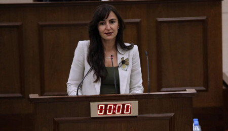 Jale Refik Rogers: Milli Eğitim Bakanı ve YÖDAK üzerine düşen görevi yapmıyor!