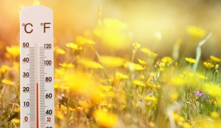 Hava sıcaklığı 37-40 derece dolaylarında olacak