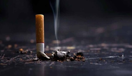 Tepebaşı’nda sönmemiş sigara izmariti yangına neden oldu