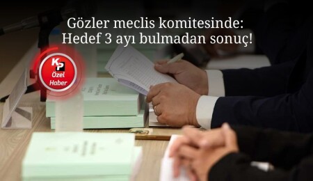 Meclis komitesi ‘sahte diploma’ konusunda 3 ay içinde sonuç arıyor!