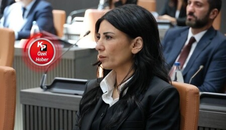 Özdenefe: Tatar, Rum liderliğinin yıktığı masayı Kıbrıslı Türklerin üzerine yıktı