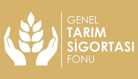 Bağlarda meydana gelen dolu zararıyla ilgili değerlendirme sonuçları askıya alındı