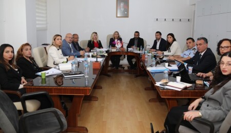 Hukuk, Siyasi İşler ve Dışilişkiler Komitesi iki yasa tasarısını görüştü