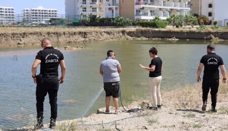 İskele Belediyesi, haşere ile mücadele kapsamında havadan ilaçlama yapıyor