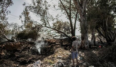 Libya'da aşırı sıcaklar nedeniyle çıkan yangın binlerce palmiye ağacını yok etti