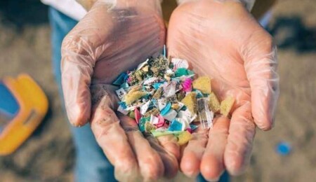 Türkiye Bilimler Akademisi, KKTC’de plastik sorununa büyüteç tuttu
