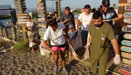Yaralı caretta caretta cerrahi müdahalenin ardından Akdeniz’e bırakıldı