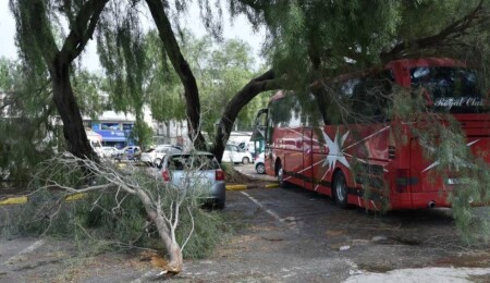 Lefkoşa’da kısa süreli yağış: Ağaç dalları park halindeki araçların üzerine düştü