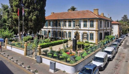 Kıbrıs Vakıflar İdaresi yarın Esentepe'de zeytin fidanı dikecek